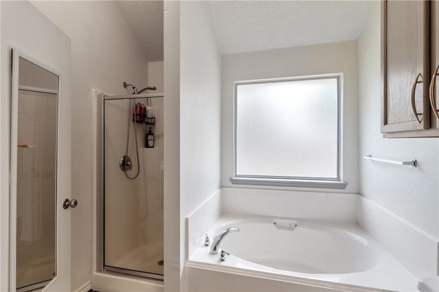 3907 Bridgeberry Court, College Station, TX 77845