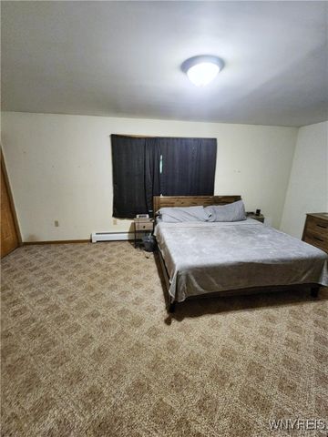 5844 Leonard Run Road, Carrollton, NY 14753