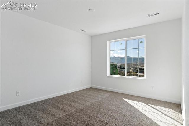 16897 Starfall Drive, Monument, CO 80132