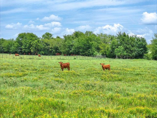Tract 3 FM 855, Jacksonville, TX 75766