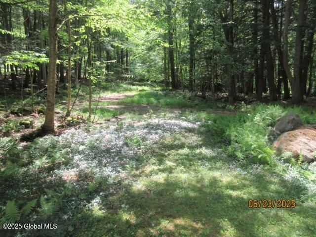 28 Pine Place, Hadley, NY 12835
