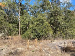 21523 SW BEACH BOULEVARD, Dunnellon, FL 34431