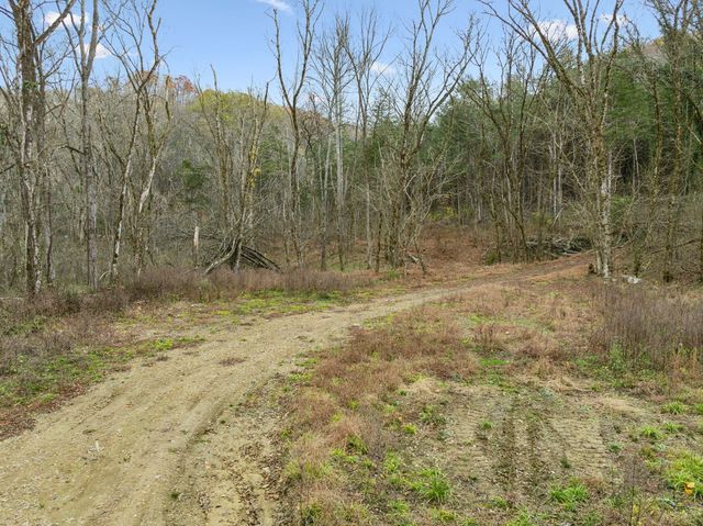 0 Long Branch Rd, Lancaster, TN 38569