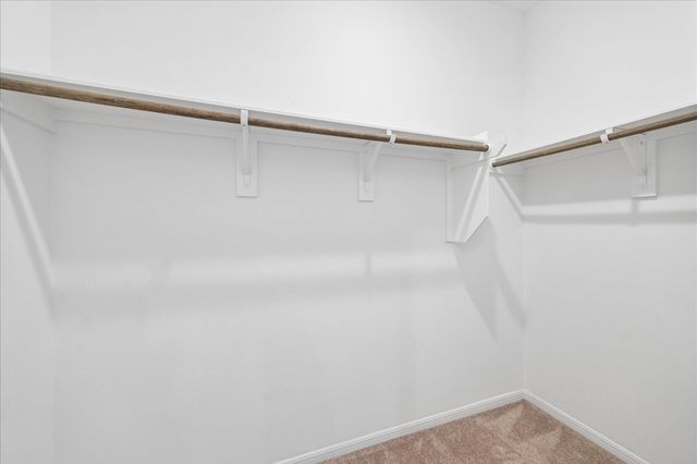317 Maple Bark Trail, Conroe, TX 77378