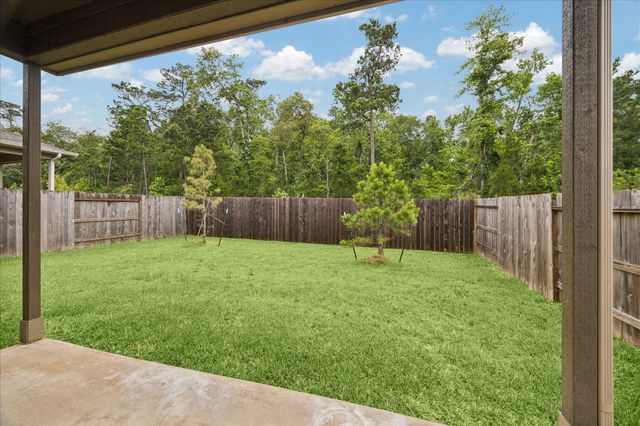 317 Maple Bark Trail, Conroe, TX 77378