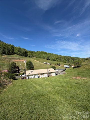 1663 Bailey Branch Road, Burnsville, NC 28714