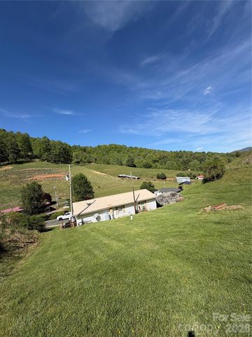 1663 Bailey Branch Road, Burnsville, NC 28714