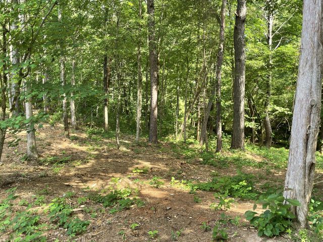 177 Lifestyle Way, Benton, TN 37307
