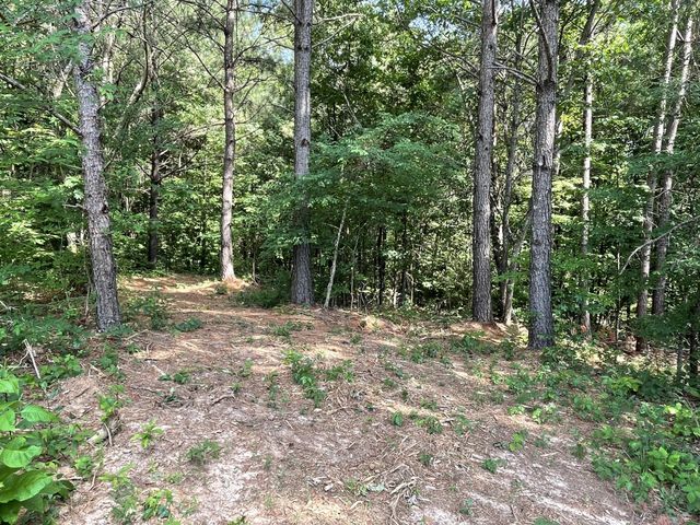 177 Lifestyle Way, Benton, TN 37307