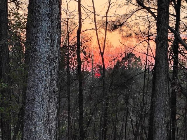 177 Lifestyle Way, Benton, TN 37307