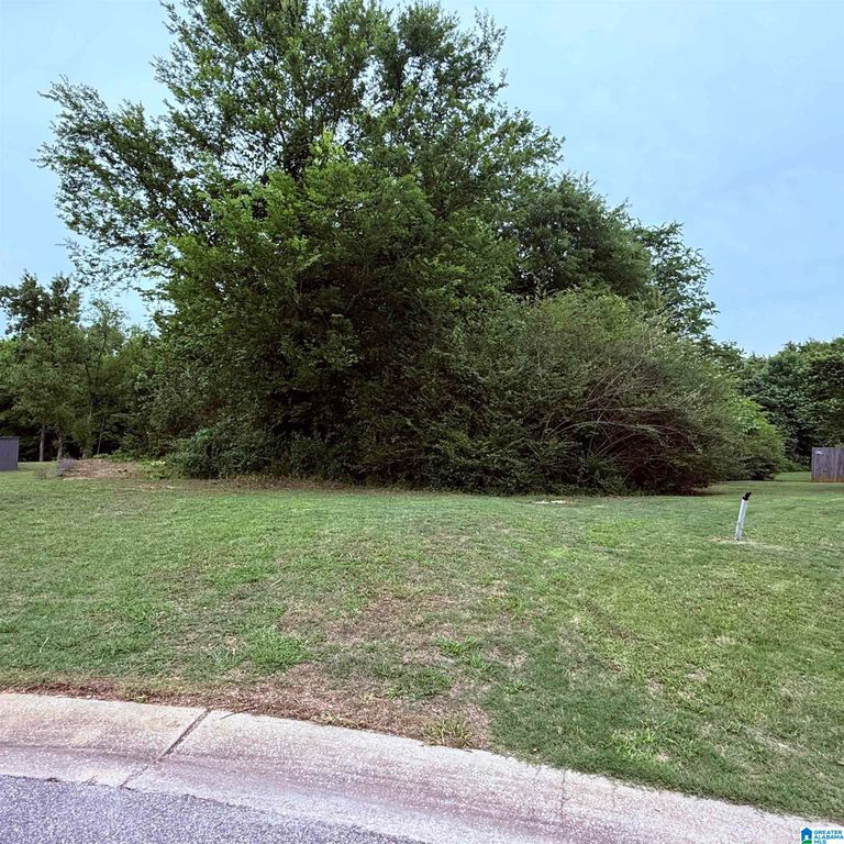 156 PATRIOT PARK, Montevallo, AL 35115