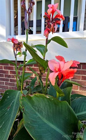 218 Wilson Street A&B, Albemarle, NC 28001