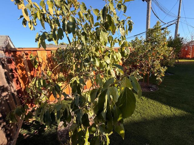 2121 Francis Avenue, Santa Clara, CA 95051