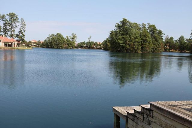 34 Kerloch Point, Spring, TX 77379