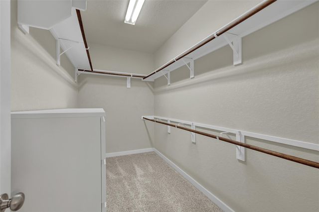 15418 Ivory Hills HLS, San Antonio, TX 78247