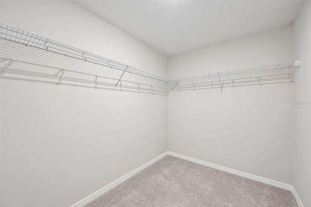 5919 FRESH FLORA DRIVE, Wimauma, FL 33598