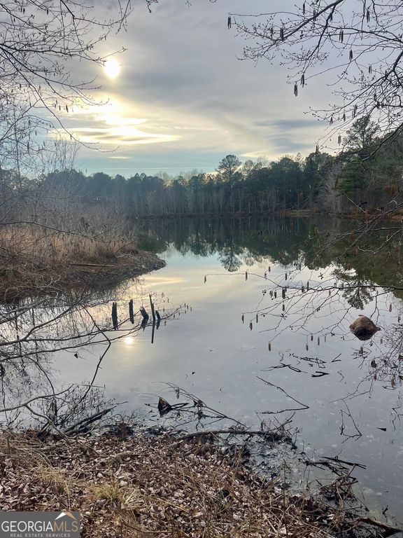 0 Padgett Road LOT 10, Senoia, GA 30276