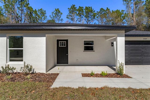 14197 RED MARLIN AVENUE, Brooksville, FL 34614