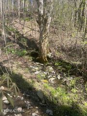 1 Old Furnace Rd, Tellico Plains, TN 37385