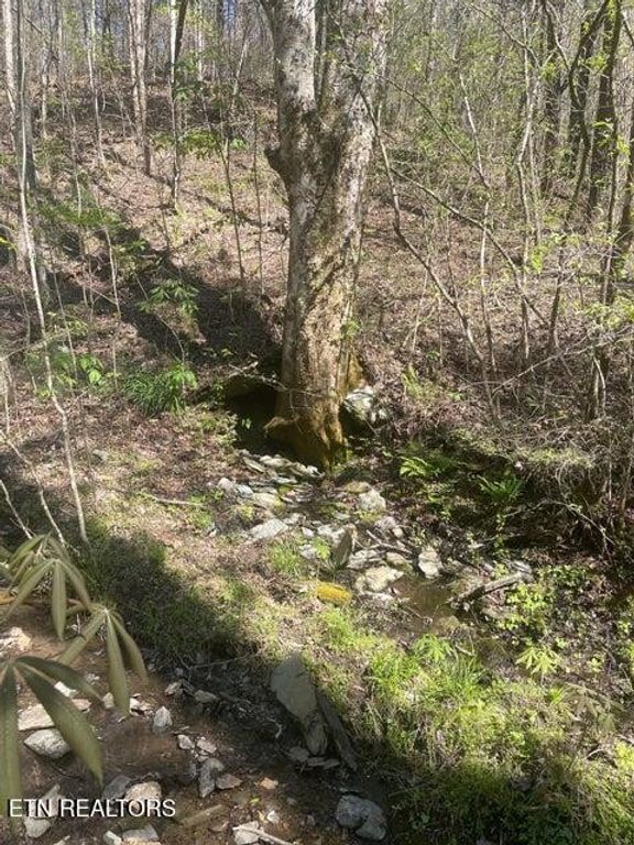 1 Old Furnace Rd, Tellico Plains, TN 37385