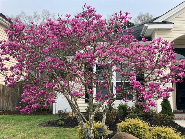 2337 Edmenton DR, Virginia Beach, VA 23456