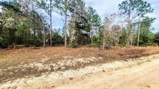 Caribbean St, Interlachen, FL 32148