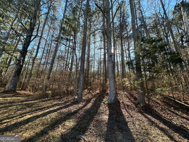 0 Hard Rock Road, Oxford, GA 30054