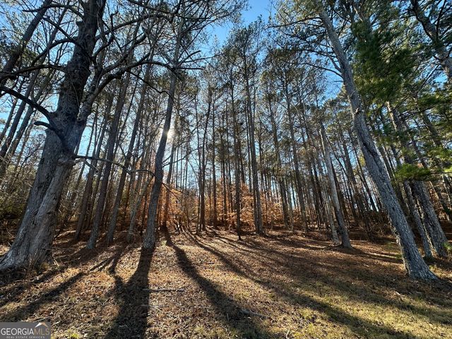 0 Hard Rock Road, Oxford, GA 30054
