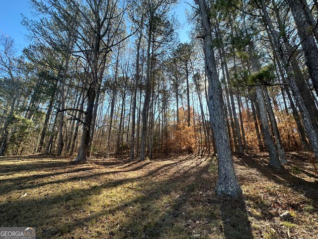 0 Hard Rock Road, Oxford, GA 30054