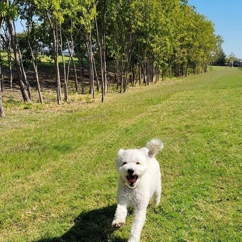 2700 Castlebridge, The Colony, TX 75056