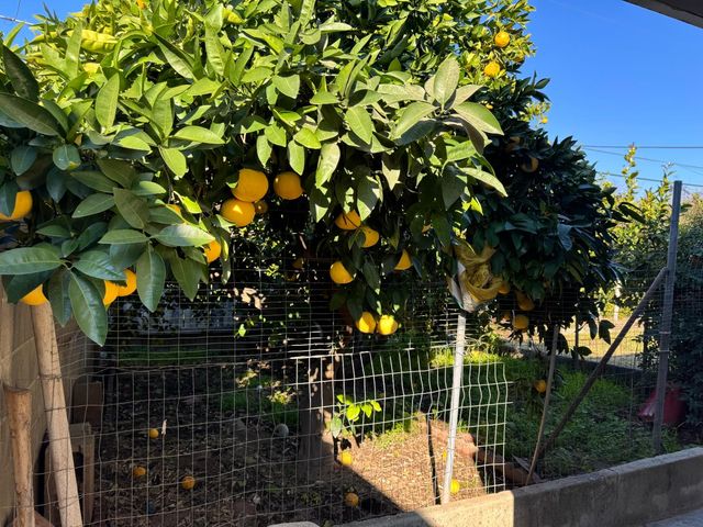 1128 W Michigan Avenue, Fresno, CA 93705