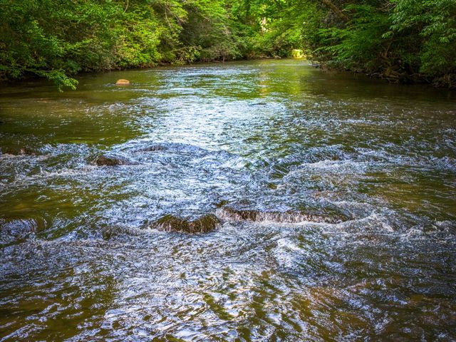 60 Magnolia Trail, Mccaysville, GA 30555
