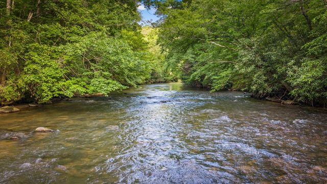 60 Magnolia Trail, Mccaysville, GA 30555