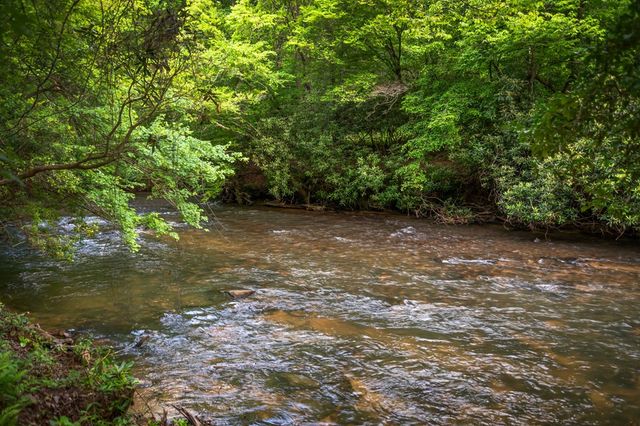 60 Magnolia Trail, Mccaysville, GA 30555
