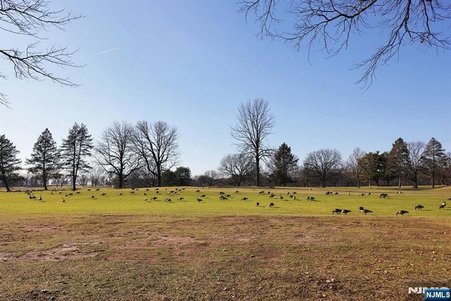 156 Dayton Street, Newark, NJ 07114