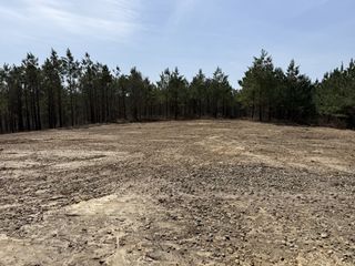 0 Hwy 231, Erin, TN 37061