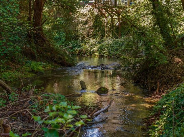 17925 Highway 9, Boulder Creek, CA 95006