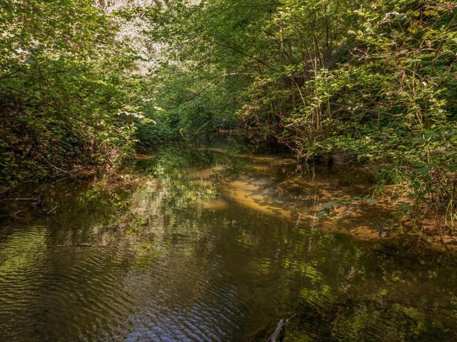 17925 Highway 9, Boulder Creek, CA 95006