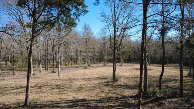 8272 Timber Bridge Lane, Chappell Hill, TX 77426