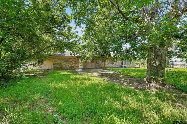 387 Avenue D, Point, TX 75472