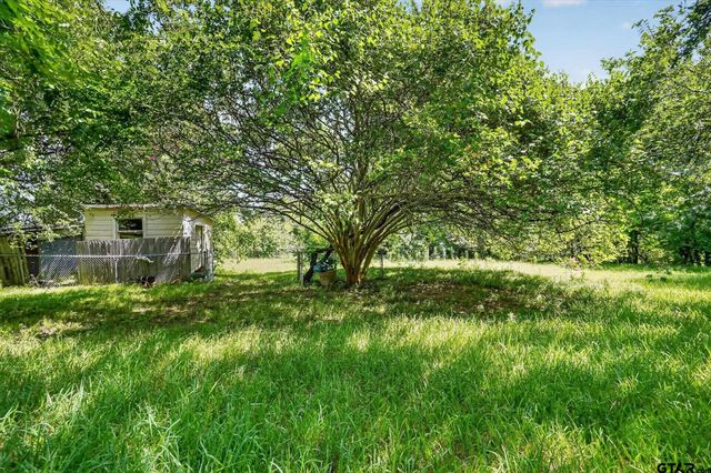 387 Avenue D, Point, TX 75472