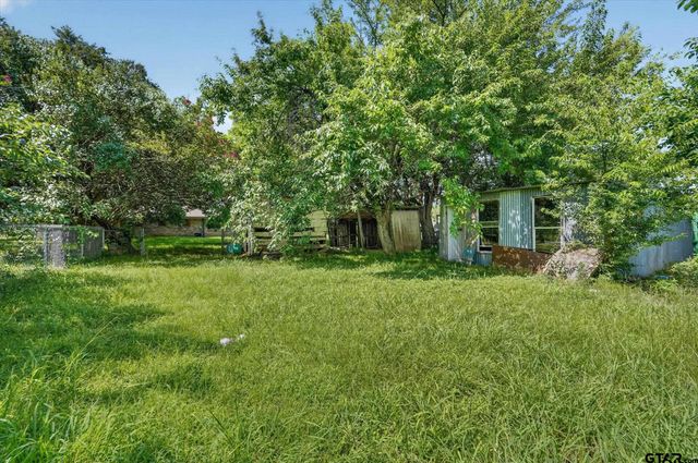 387 Avenue D, Point, TX 75472