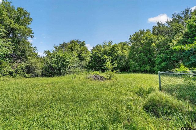 387 Avenue D, Point, TX 75472