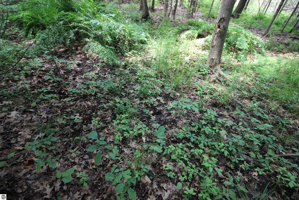 Image 12 of property listing at 2624 Hartman Road, Traverse City, MI 49685