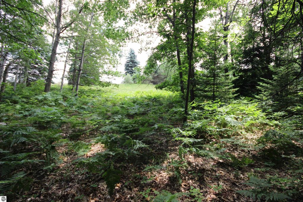 Image 13 of property listing at 2624 Hartman Road, Traverse City, MI 49685