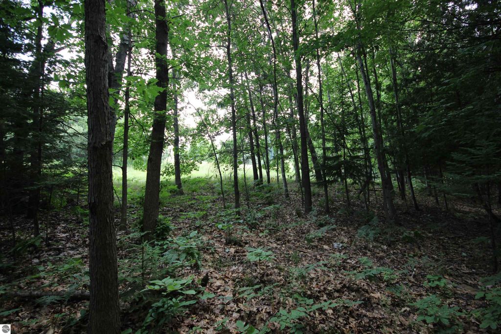 Image 15 of property listing at 2624 Hartman Road, Traverse City, MI 49685