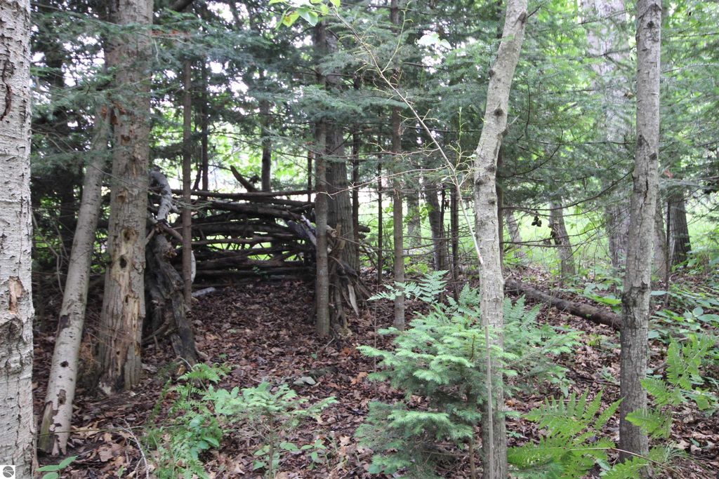 Image 19 of property listing at 2624 Hartman Road, Traverse City, MI 49685