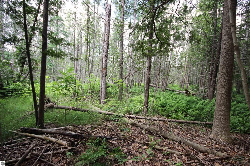 Image 9 of property listing at 2624 Hartman Road, Traverse City, MI 49685