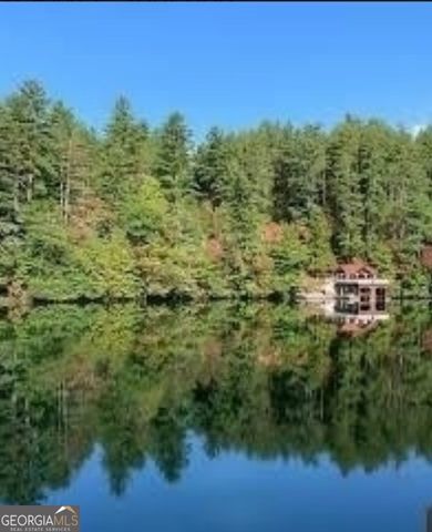238 Magnificent Way, Cleveland, GA 30528