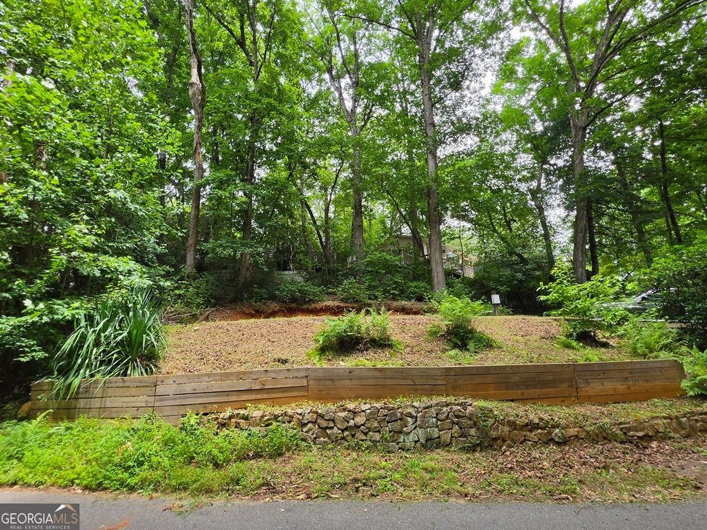238 Magnificent Way, Cleveland, GA 30528
